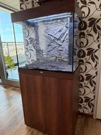 Juwel aquarium lido 120, Dieren en Toebehoren, Vissen | Aquaria en Toebehoren, Ophalen, Zo goed als nieuw, Leeg aquarium