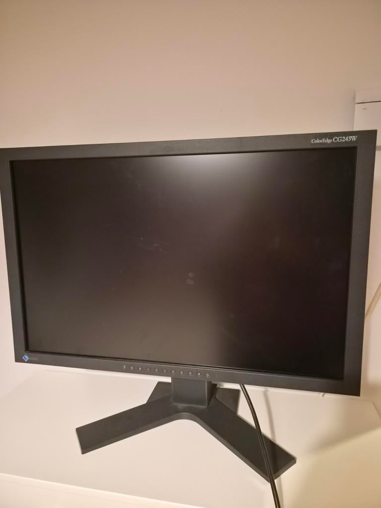 Eizo ColorEdge CG243W – Professionele grafische monitor, Ophalen, Gebruikt, IPS, Eizo