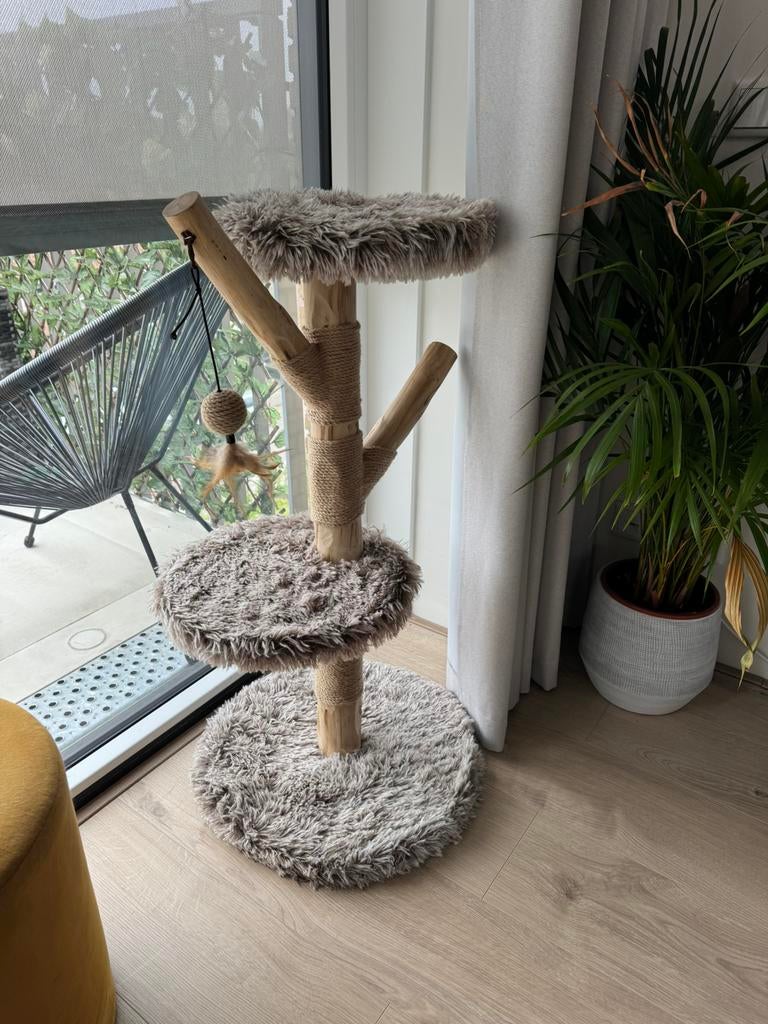 Krabpaal (kleine huiskat), Ophalen, Nieuw, Krabpaal