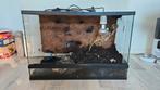 Paludarium / terrarium 60x30x40, Ophalen, Gebruikt, Terrarium of Paludarium