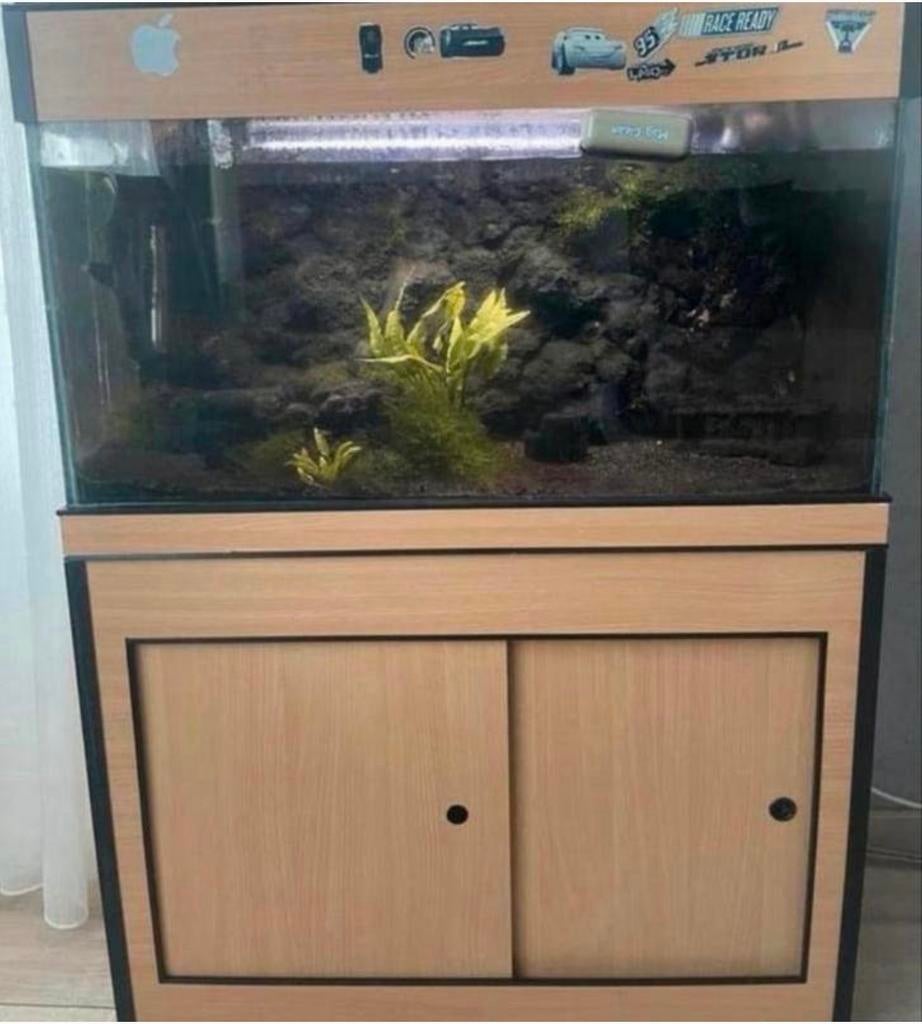 aquarium inclusief meubel, Dieren en Toebehoren, Vissen | Aquaria en Toebehoren, Ophalen, Overige merken, Leeg aquarium, Gebruikt