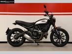 DUCATI SCRAMBLER ICON (bj 2022), 2 cilinders, Bedrijf, Meer dan 35 kW, Overig