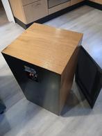 tekoop B&W DM2A, Audio, Tv en Foto, Luidsprekers, Ophalen, Gebruikt, 60 tot 120 watt, Bowers & Wilkins (B&W)