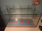 Aquarium / terrarium, Dieren en Toebehoren, Knaagdieren en Konijnen | Hokken en Kooien, Zo goed als nieuw, 75 tot 110 cm, Ophalen