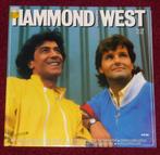 Albert Hammond & Albert West LP, Cd's en Dvd's, Vinyl | Pop, Ophalen of Verzenden, 1960 tot 1980, Gebruikt, 12 inch