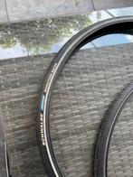 Schwalbe Marathon Racer Banden - Set van 2, Gebruikt, Band, Schwalbe, Algemeen