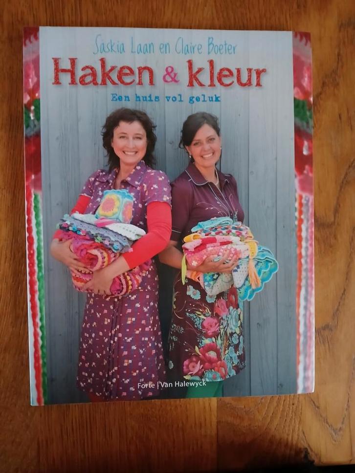Saskia Laan - Haken en kleur, Boeken, Hobby en Vrije tijd, Zo goed als nieuw, Ophalen of Verzenden