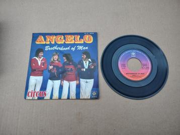 7" Single: Brotherhood Of Man - Angelo (1977) beschikbaar voor biedingen