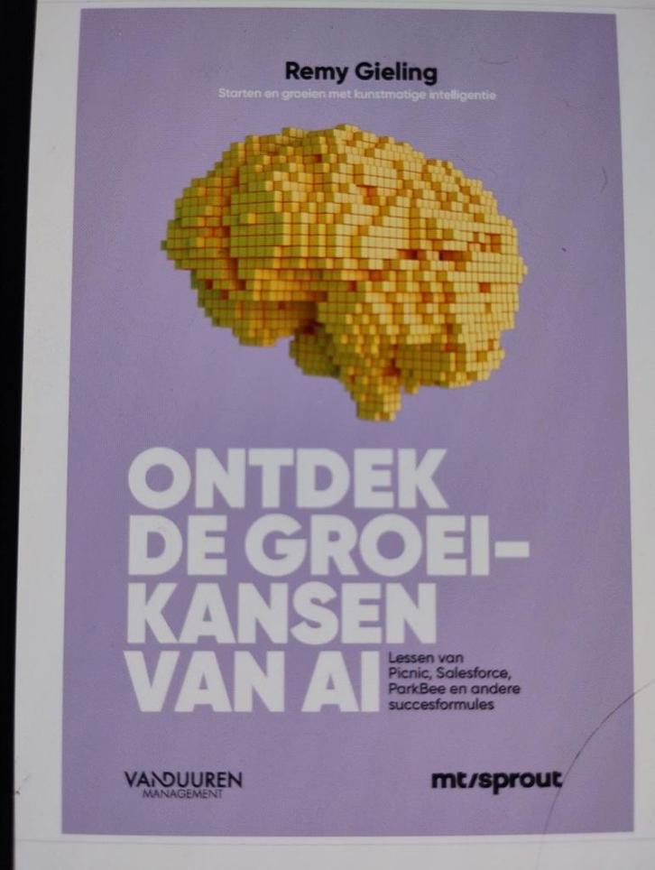Gieling Remy - Ontdek de groeikansen van AI, Boeken, Wetenschap, Zo goed als nieuw, Ophalen of Verzenden