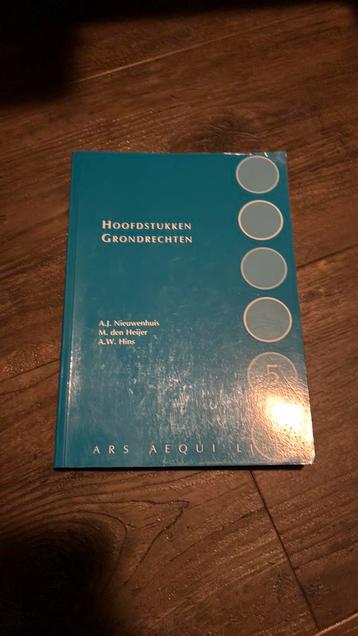 Aernout Nieuwenhuis - Hoofdstukken grondrechten 5e druk beschikbaar voor biedingen