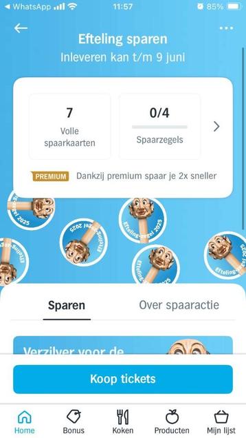 5 AH Efteling voor korting op de Efteling! beschikbaar voor biedingen