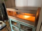 Groot terrarium met extraatjes, Dieren en Toebehoren, Reptielen en Amfibieën | Toebehoren, Ophalen, Terrarium of Paludarium