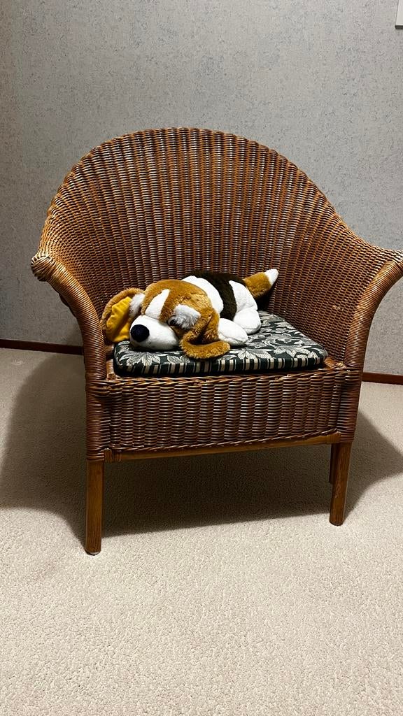 Gezellige rieten fauteuil - Onberispelijk!, Ophalen, Zo goed als nieuw, 50 tot 75 cm, Riet of Rotan