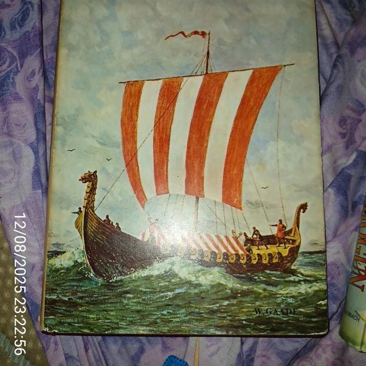 De Vikingen- Naar Wijder Horizon.9e  1965-1966 Ned bewerking, Boeken, Geschiedenis | Wereld, Zo goed als nieuw, Ophalen of Verzenden