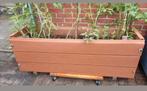 Bloembak Kweekbak goed in orde. Met of zonder Tomaten plant!, Ophalen, Zomer, Volle zon