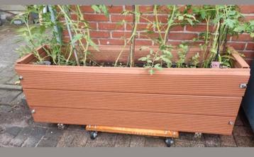 Bloembak Kweekbak goed in orde. Met of zonder Tomaten plant! beschikbaar voor biedingen