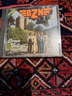 GREEN VALLEYS    BZN compact disc, Ophalen of Verzenden, 1980 tot 2000, Zo goed als nieuw, 12 inch