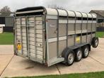 IFOR Williams Trailer TA510G14/3 TOPSTAAT veetrailer, Gebruikt