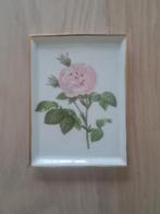 Mooi schaaltje met roos, Limoges, Ophalen of Verzenden