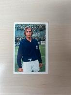 Vanderhout Neeskens Ajax, Ophalen of Verzenden, Zo goed als nieuw, Ajax, Poster, Plaatje of Sticker