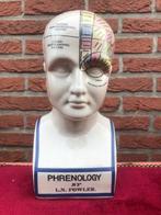 porseleinen studiemodel, frenologie, Antiek en Kunst, Ophalen of Verzenden