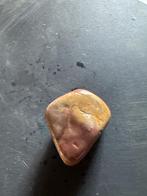 Radiolariet Fossiel - 70 gram, Ophalen, Fossiel