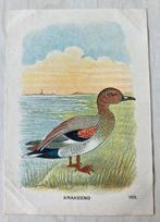 Albumplaatje (Krakeend) Tiktak's vogelalbum 2, Ophalen of Verzenden, Gebruikt