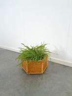 Rotan bamboe plantenbak op wielen, Gebruikt, Minder dan 60 cm, Ophalen of Verzenden, Overige vormen