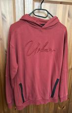Hoodie jongens maat 158 ongeveer 12-13 jaar, Ophalen of Verzenden, Zo goed als nieuw, Jongen, Trui of Vest