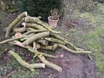 walnoot hout bv brandhout, Tuin en Terras, Haardhout, Minder dan 3 m³, Ophalen, Overige houtsoorten, Takken