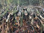 Gratis Takken/Haardhout - Diepenheim, 3 tot 6 m³, Ophalen, Overige houtsoorten, Takken