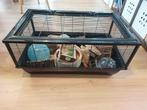 Grote Hamsterkooi, Dieren en Toebehoren, Kooi, Gebruikt, Minder dan 75 cm, Hamster