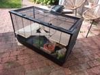 Grote (hamster)kooi met toebehoren, Ophalen, Kooi, Gebruikt, 60 tot 90 cm