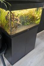 Juwel Rio 125 Led compleet aquarium, Dieren en Toebehoren, Vissen | Aquaria en Toebehoren, Ophalen, Zo goed als nieuw, Gevuld zoetwateraquarium