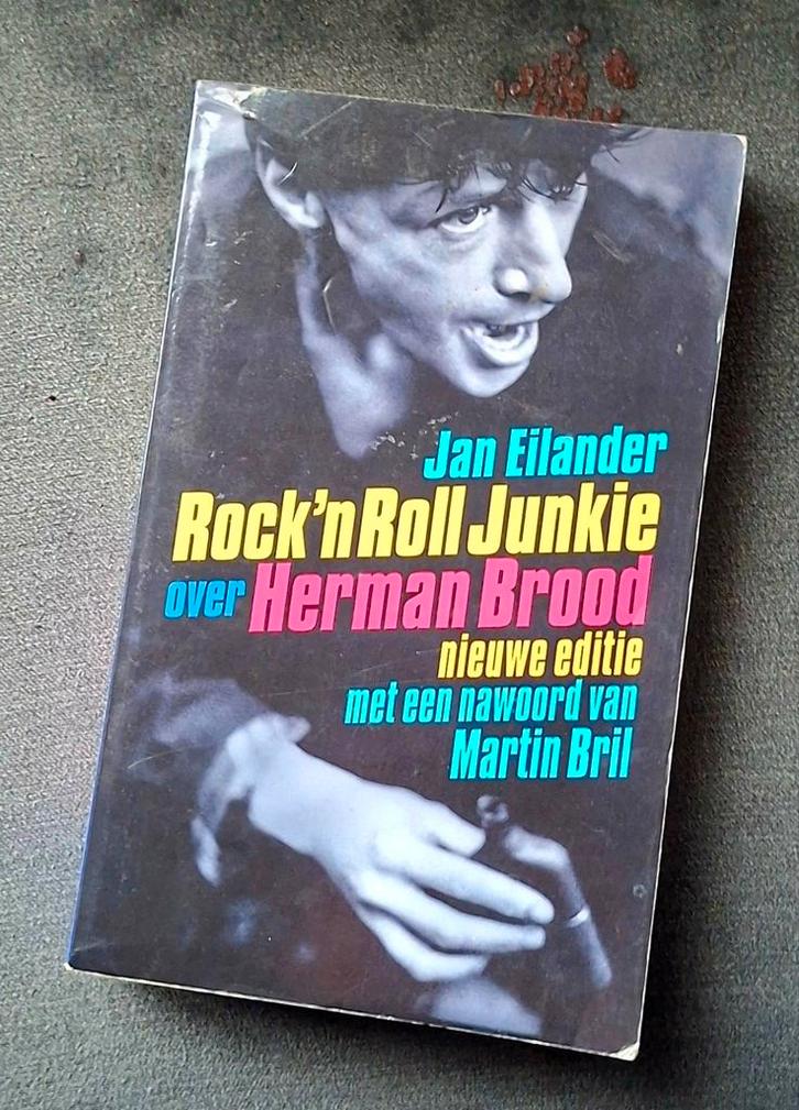Rock'n Roll Junkie - Herman Brood Biografie, Boeken, Biografieën, Gelezen, Kunst en Cultuur, Ophalen of Verzenden
