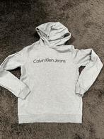 Hoodie Calvin klein 170, Gebruikt, Calvin Klein Jeans, Trui of Vest, Ophalen of Verzenden