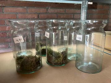 7,- NIEUWE glazen vazen | alles voor 15,- beschikbaar voor biedingen