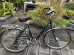 Gazelle Track and Trail Damesfiets - Frame 54, Ophalen, Gebruikt, Gazelle, Versnellingen