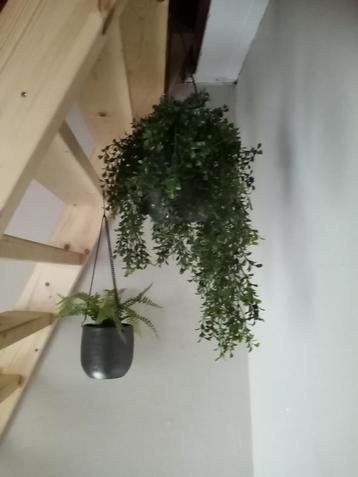 Hangpotten met kunstplanten beschikbaar voor biedingen