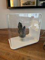 biorb aquarium 30 liter, Dieren en Toebehoren, Ophalen of Verzenden, Gebruikt, Leeg aquarium