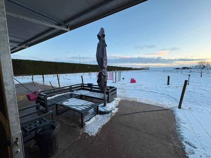 Stalling paard/pony met 24/7 uitloop + onbeperkt hooi!, Dieren en Toebehoren, Paarden en Pony's | Overige Paardenspullen, Nieuw