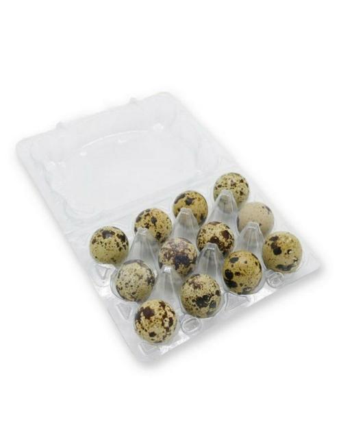 Verse Kwarteleitjes! Voor Consumptie én Broed Hoge Kwaliteit, Dieren en Toebehoren, Pluimvee | Toebehoren, Nieuw, Overige typen