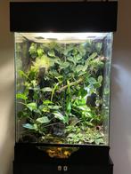 Paludarium, Dieren en Toebehoren, Ophalen, Gebruikt, Terrarium of Paludarium