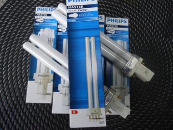 Lot losse lampen - 220volt - NIEUW - old school beschikbaar voor biedingen