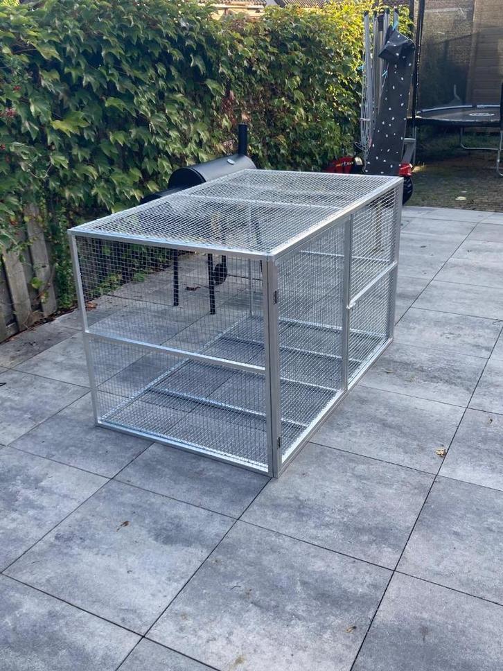 Rennen op maat gemaakt, Dieren en Toebehoren, Vogels | Duiven, Postduif, Meerdere dieren