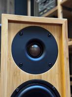 iFi audio Retro LS3.5, Audio, Tv en Foto, Gebruikt, Overige typen, Minder dan 60 watt, Ophalen