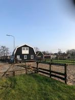 Per 1 september plek op een doe-het-zelf, rustige prive-stal, Dieren en Toebehoren, Stalling en Weidegang, Weidegang, 1 paard of pony