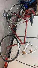vintage racefiets, 51 tot 55 cm, Ophalen