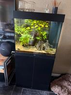 JUWEL Aquarium Lido incl.CO 2 set (plantedbox, Dieren en Toebehoren, Ophalen, Gevuld zoetwateraquarium