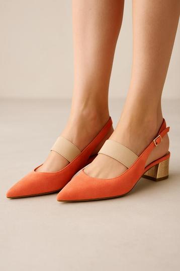 Andrea Catini – Luxe suède pumps | Maat 37,5 beschikbaar voor biedingen